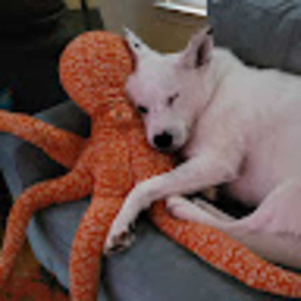 Meet your Posher, Nancy